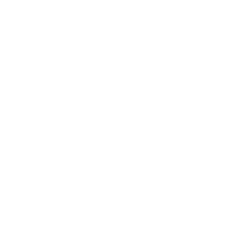 Anatomik Modeller